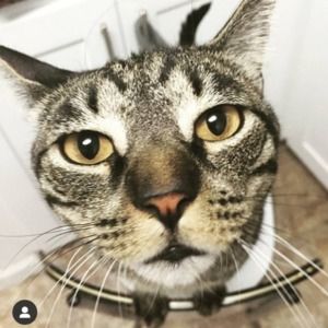 Meet your Posher, Daniel